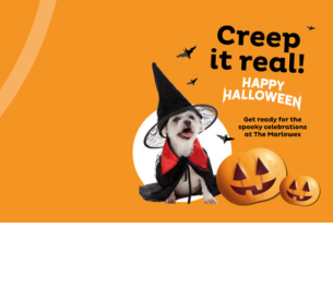 Spooky Essentials!